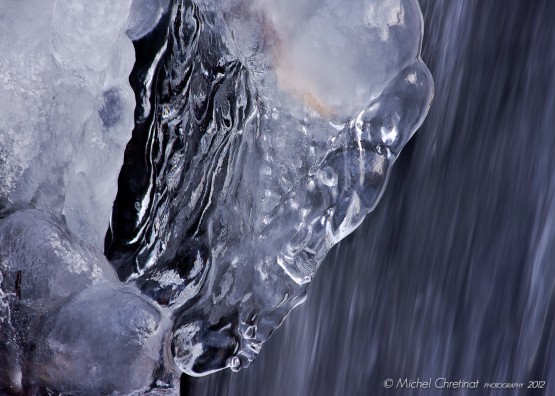 Nature abstract - Horse head