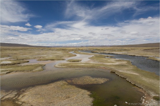 Altiplano - 4300m above the sea level