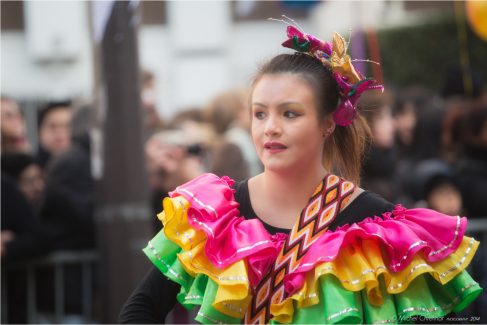Chinese New Year 2013 , Paris