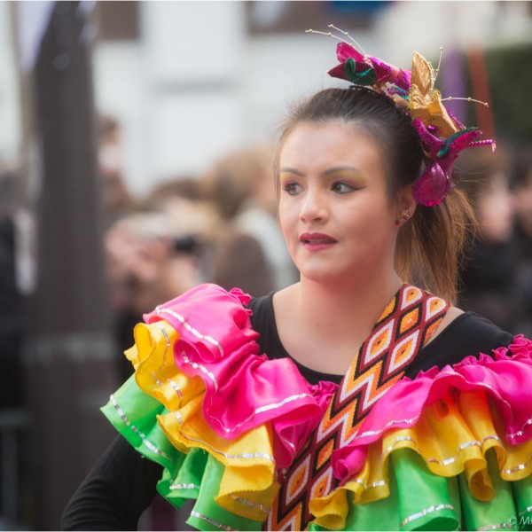 Chinese New Year 2013 , Paris