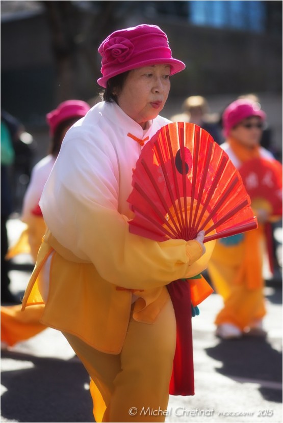 Chinese New year - Nouvel An Chinois 2015 - Paris 13eme