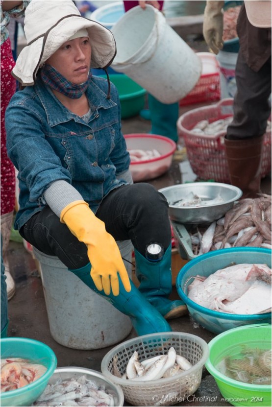 Portrait of woman selling Fish on market , north of Halong - Porttait d'une femme vendeuse de poisson au marché