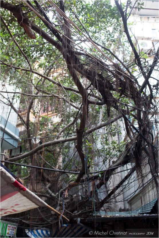 Hanoï Old quarter - Vieux Quartier