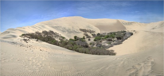 Huacachina Oasis