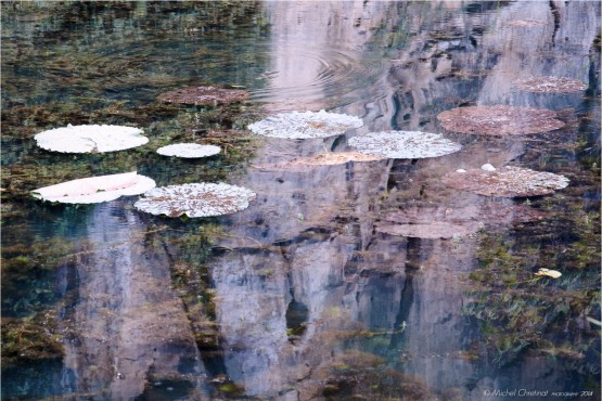 Ninh Binh , terrestrial Halong Bay