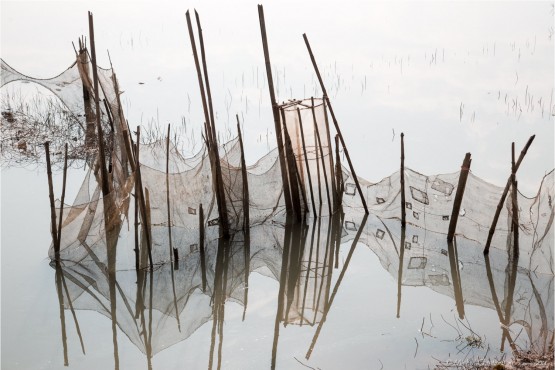 Ninh Binh , terrestrial Halong Bay