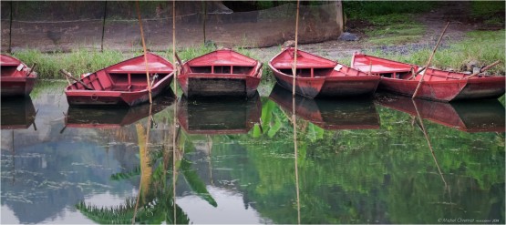 Rowing boats in Ninh Binh , terrestrial Halong Bay - Baie d'Halong terrestre