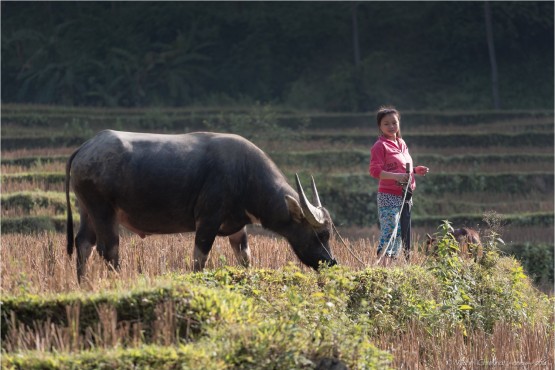 Pu Luong Nature Reserve