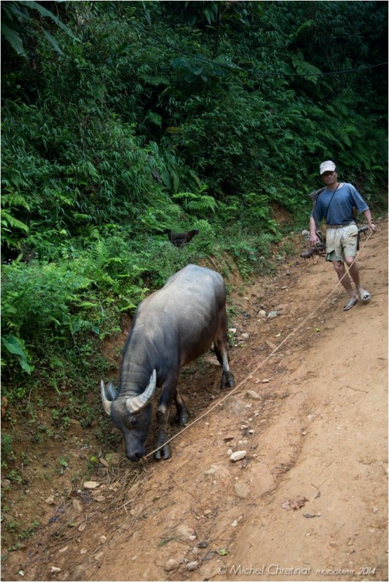 White Thai community village in Pu Luong Nature reserve