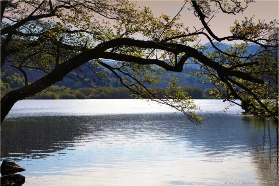 Auvergne : Lac de Chambon