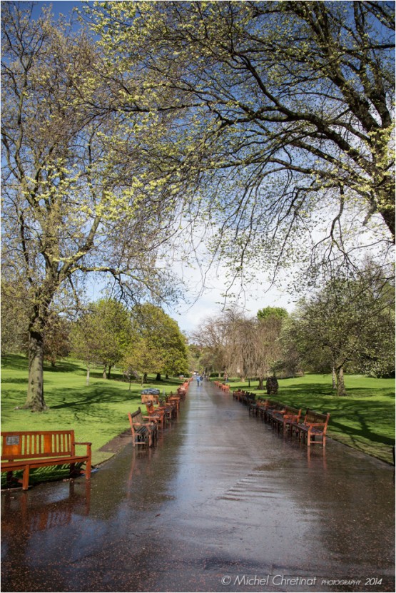 Edinburgh , Scotland - Princes Street Gardens