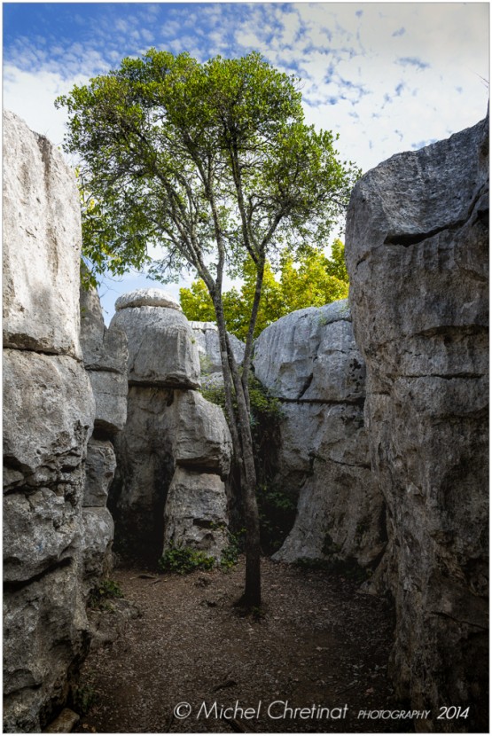 Presqu'île de Casteljau