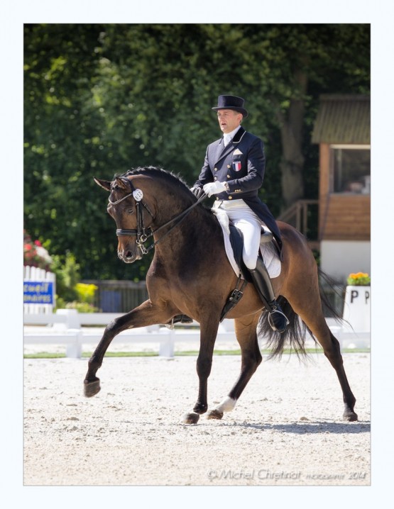 Dressage: Ludovic Henry (FRA) & After You