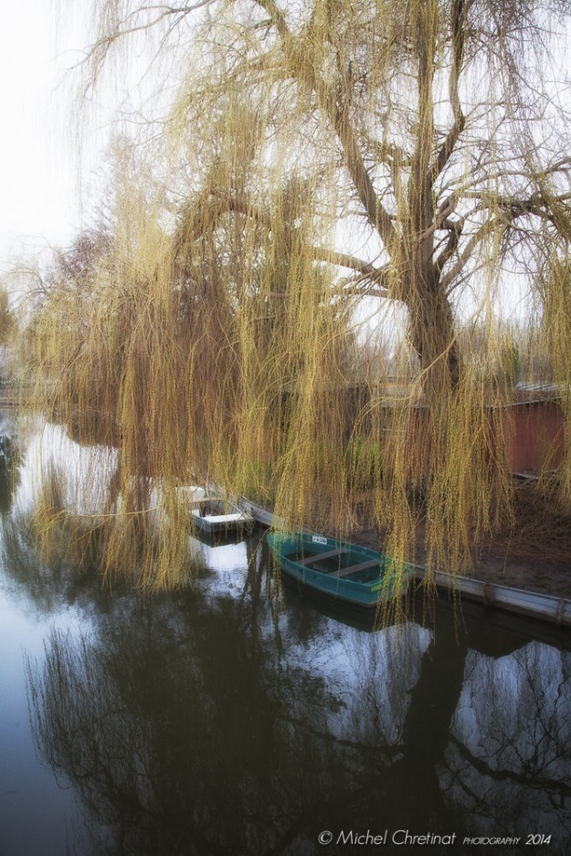 Amiens: Hortillonnages