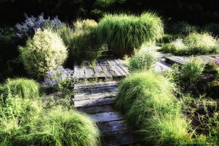 Parc de CHANTERAINES
