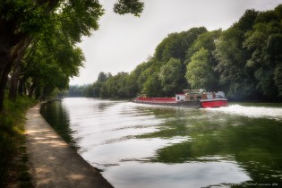 Bords de Marne - Nogent-sur Marne