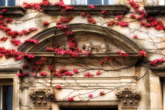 Chipping Campden - Cotswolds , England