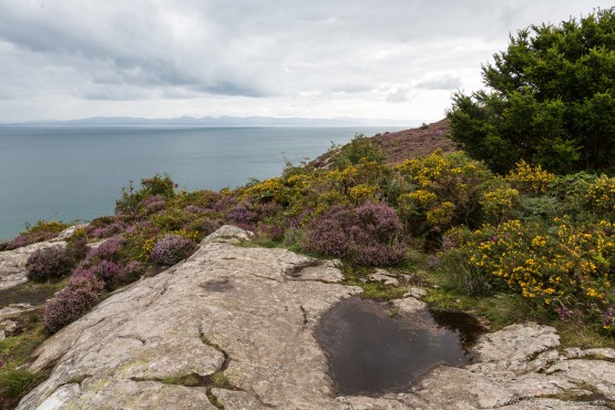Llanbedrog - LLeyn Peninsula, Wales