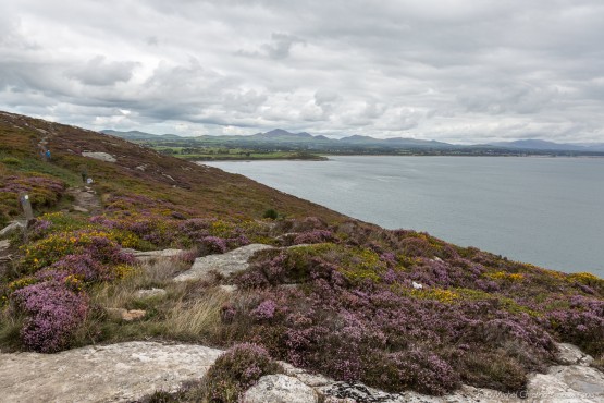 Llanbedrog - LLeyn Peninsula, Wales