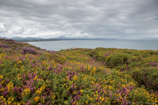 Llanbedrog - LLeyn Peninsula, Wales