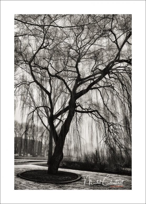 La Picardie en Images: Amiens - Le Parc Saint-Pierre