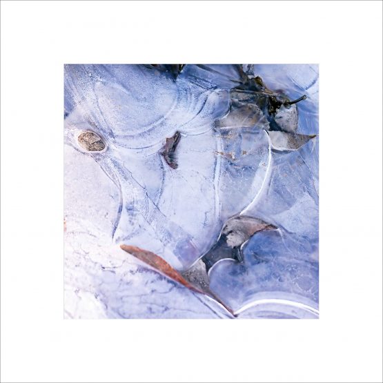 Nature abstract : Frozen Water Puddle