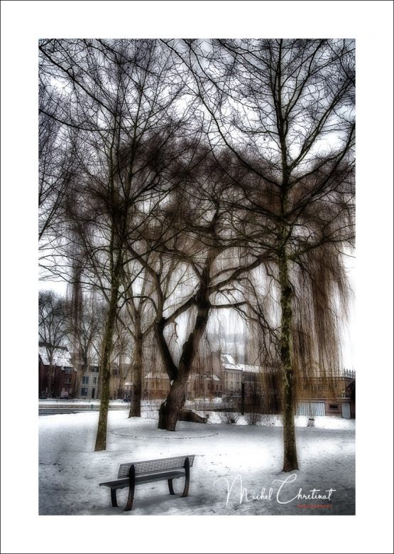 La Picardie en Images: Amiens - Parc Saint Pierre sous la neige