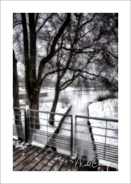 La Picardie en Images: Amiens - Parc Saint Pierre sous la neige