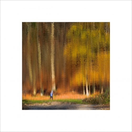 Water reflection of jogger in fall season