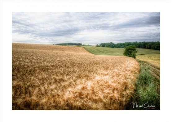 La Picardie en Images : Le Plateau Picard près du C