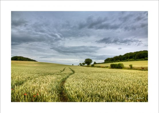 la Picardie en Images : Le plateau Picard : Le Mesnil- sous- Bulles