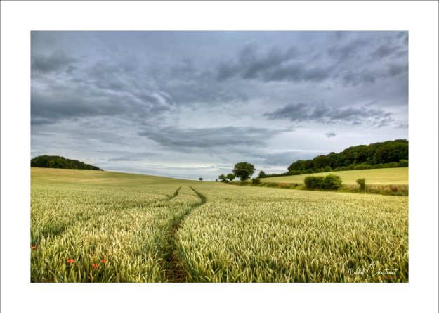la Picardie en Images : Le plateau Picard : Le Mesnil- sous- Bulles
