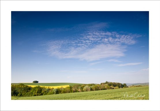 La Picardie en Images : Le Plateau picard : près de Bonneleau - Oise