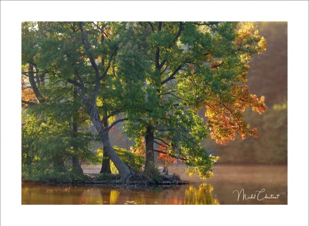 La Picardie en Images: Les étangs de Commelles - Couleurs d'automne sur l'ilot de l'etang neuf