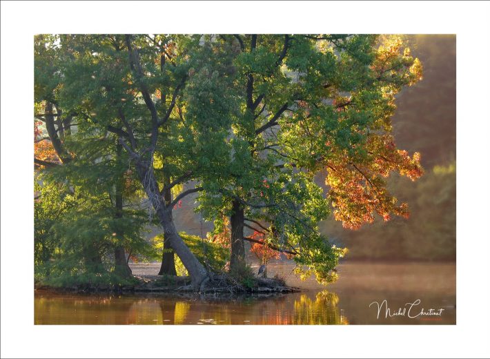La Picardie en Images: Les étangs de Commelles - Couleurs d'automne sur l'ilot de l'etang neuf