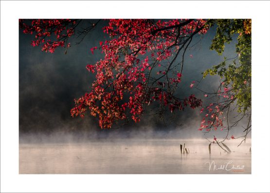 La Picardie en Images: les Etangs de Commelles - Photo d'ambiance d'automne