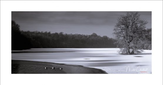 La Picardie en Images: les Etangs de Commelles - Photo de l'tang neuf pris par la glace en hiver