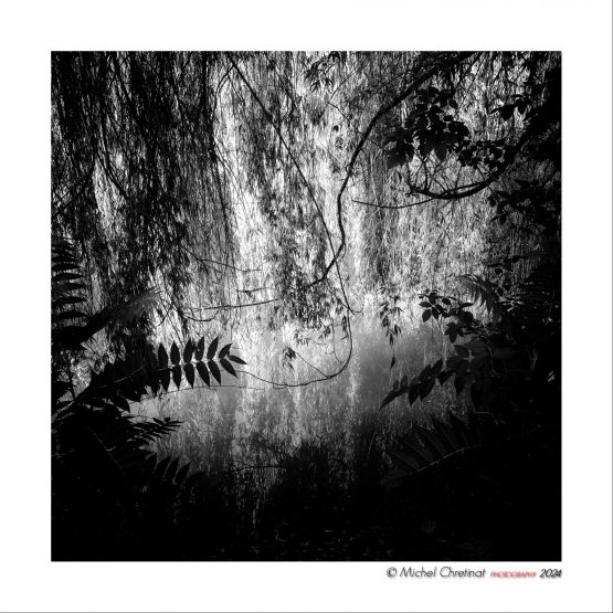 Bord de L'oise. sur L'île St Maurice